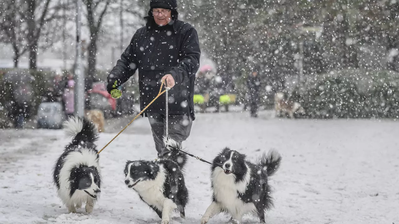 Exact date that Brits will face 'Arctic blast' of snow and rain after Storm Ciarán heaped misery on the UK