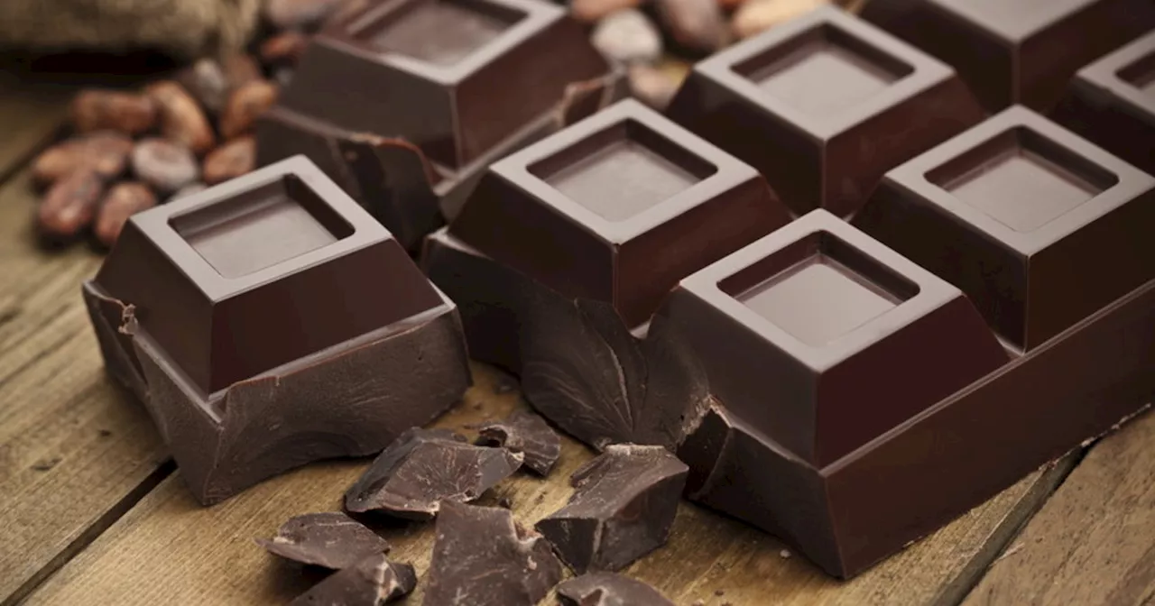 Cioccolato amaro contaminato da piombo e cadmio, studio-choc: ecco i risultati