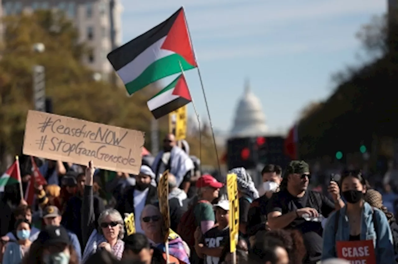 Protesters slam Biden at pro-Palestinian march in Washington