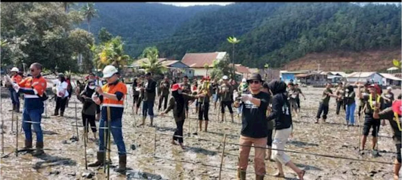 Antisipasi Perubahan Iklim, Ribuan Mangrove Ditanam di Pesisir Kolaka