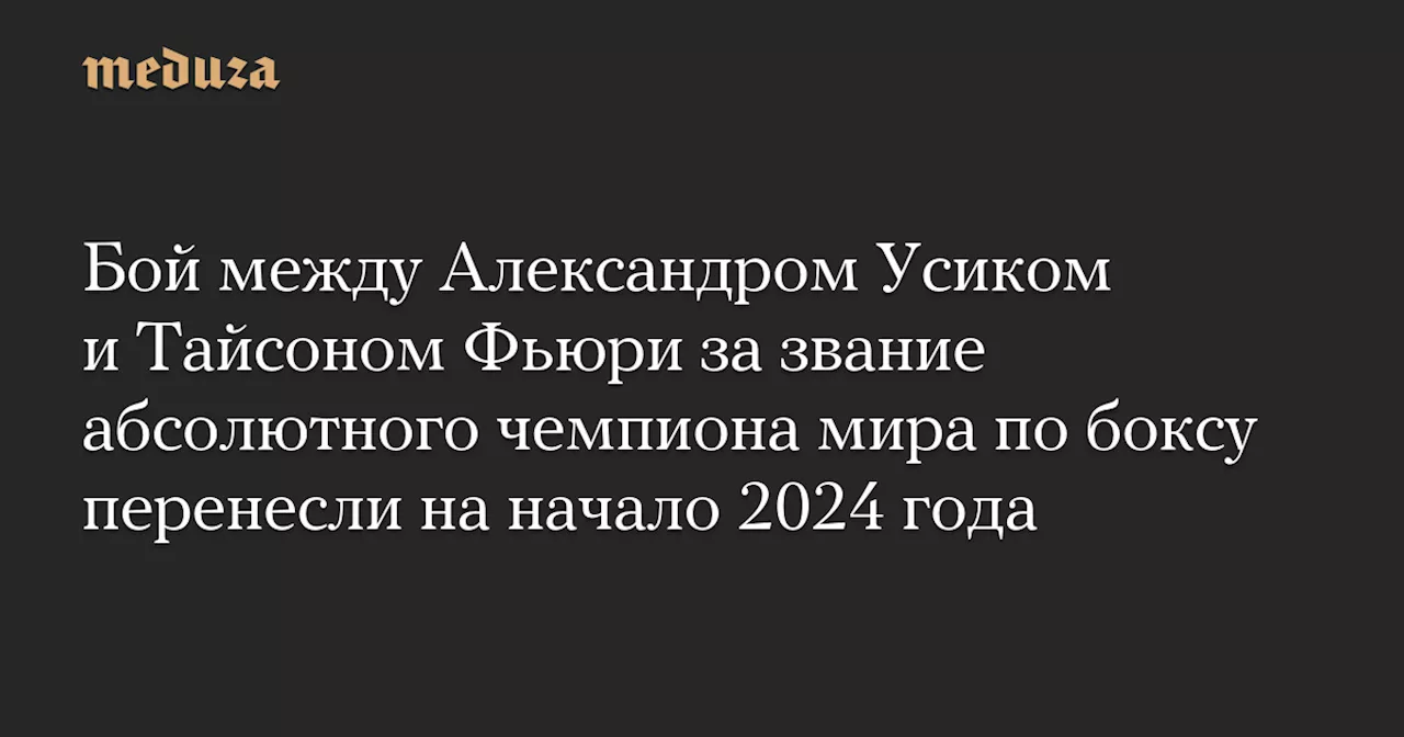 Бой между Александром Усиком и Тайсоном Фьюри за звание абсолютного чемпиона мира по боксу перенесли на начало 2024 года — Meduza