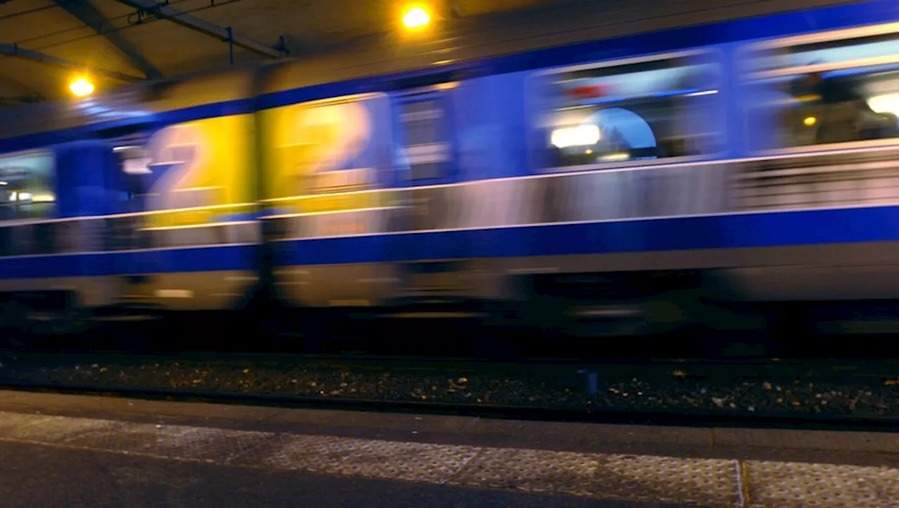 Tempête Domingos : nuit de cauchemar pour 500 passagers du train Paris-Toulouse, bloqués par la chute d'un arb