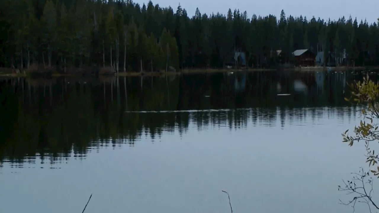 ‘They wanted to kill me': Swimmer says otters bit him 12 times in California lake