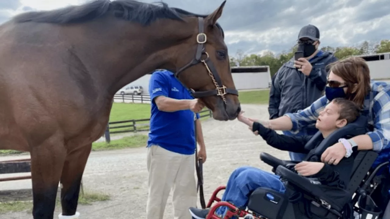 Cody's Wish makes an emotional farewell run at the Breeders' Cup