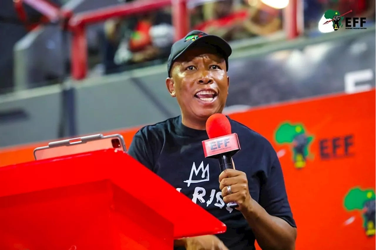 Malema says his initial support for Springboks was a slip in 'political consciousness'