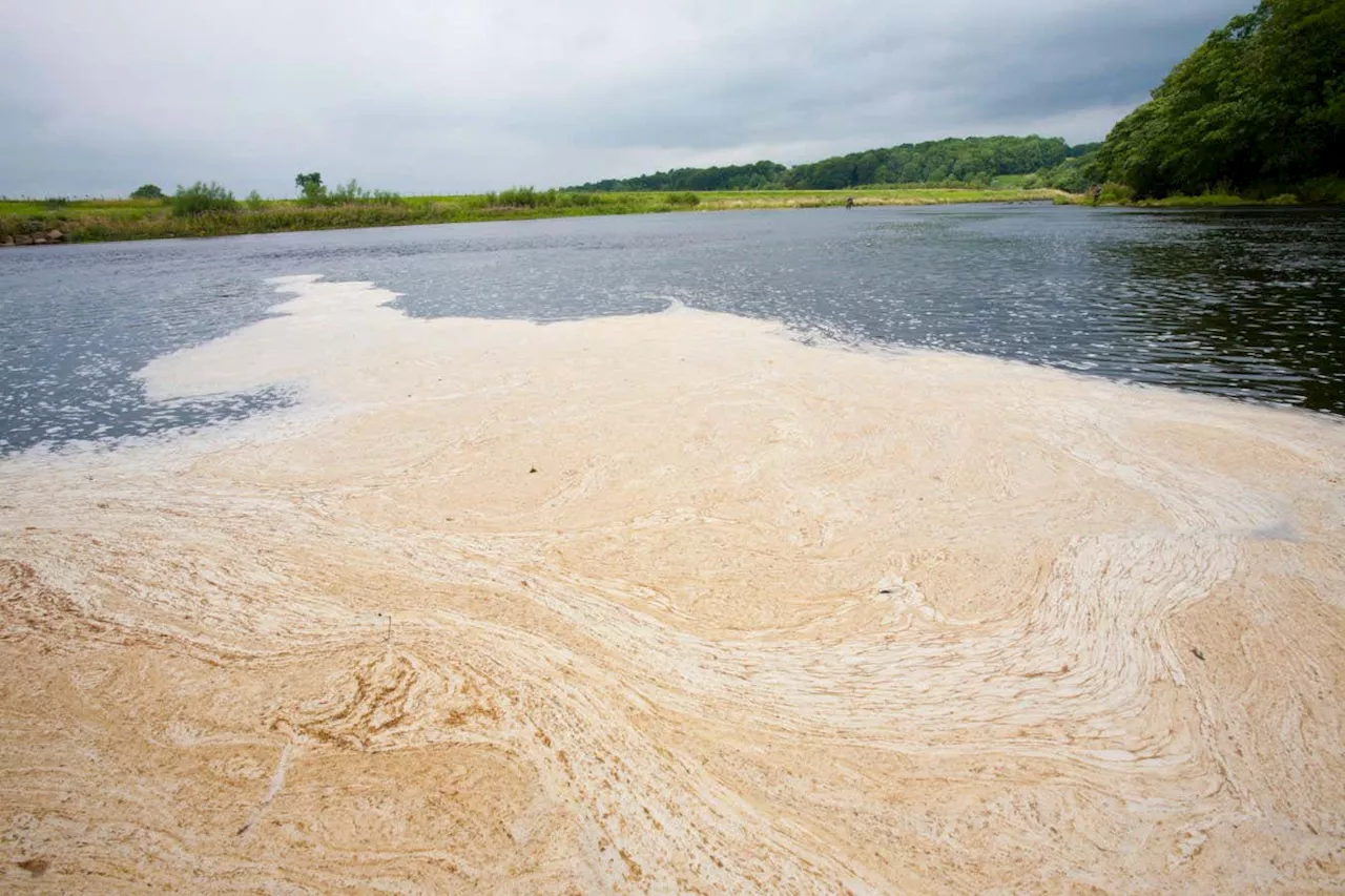 UK river pollution monitoring is 50 years out of date, say researchers