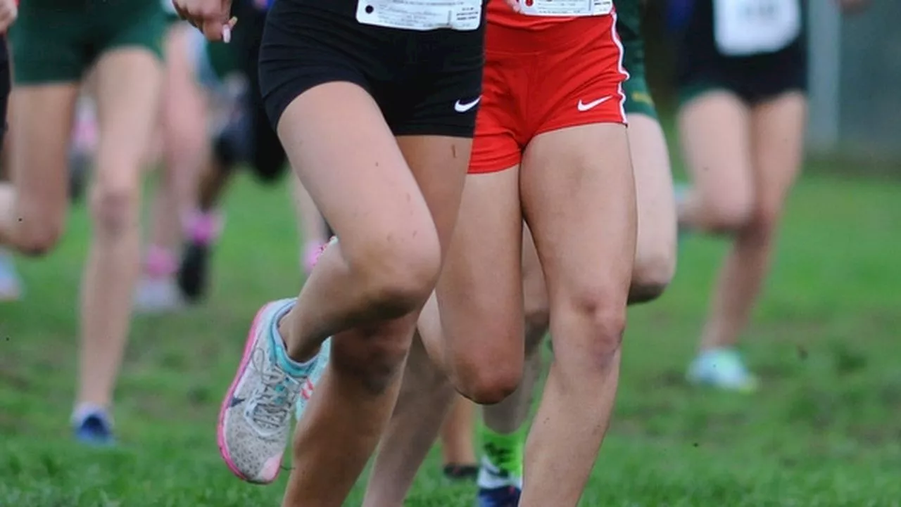 Group Cross-Country Championships: Gordon repeats, Mid. South earns title in G3 girls