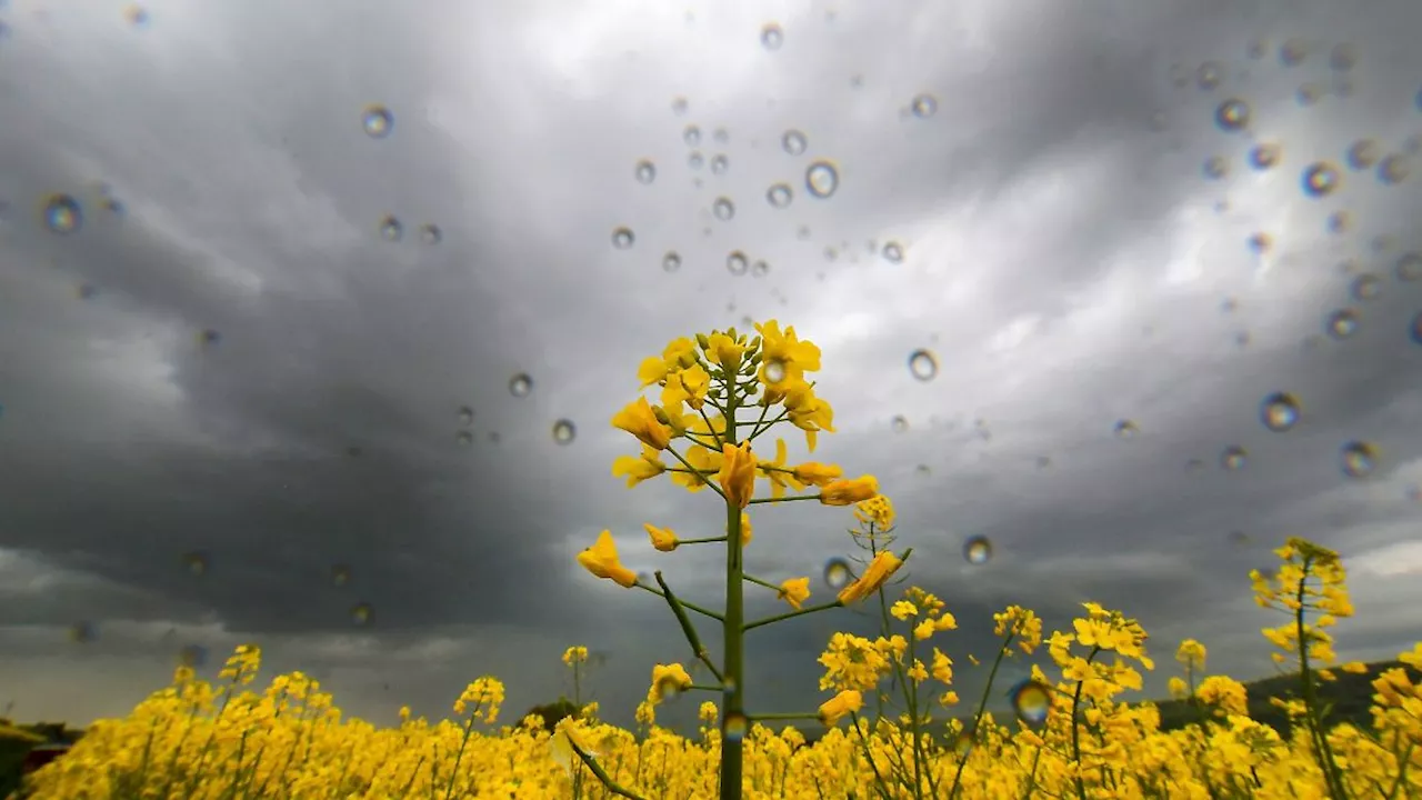 Thüringen: Wolken, Wind und Regen am Sonntag in Thüringen