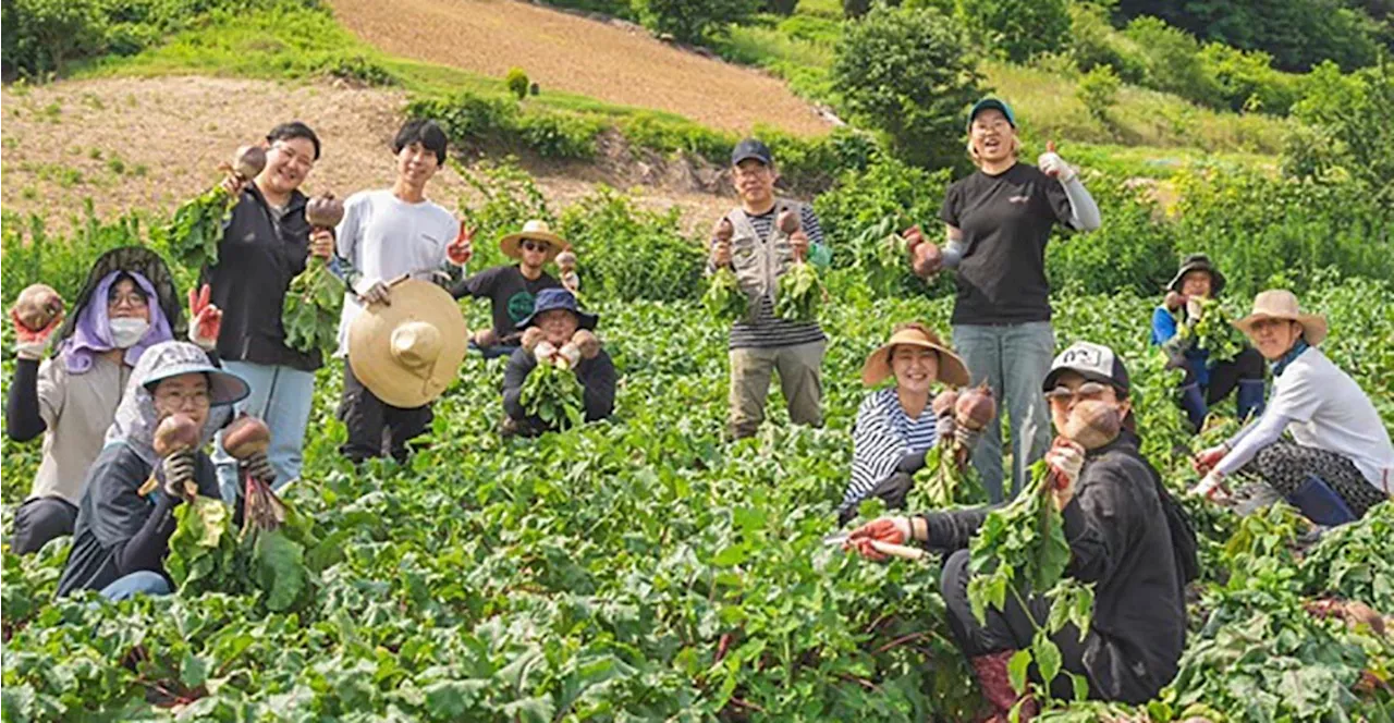 '촌에서 청년이 뭐 먹고 살아?'... 이렇게 삽니다