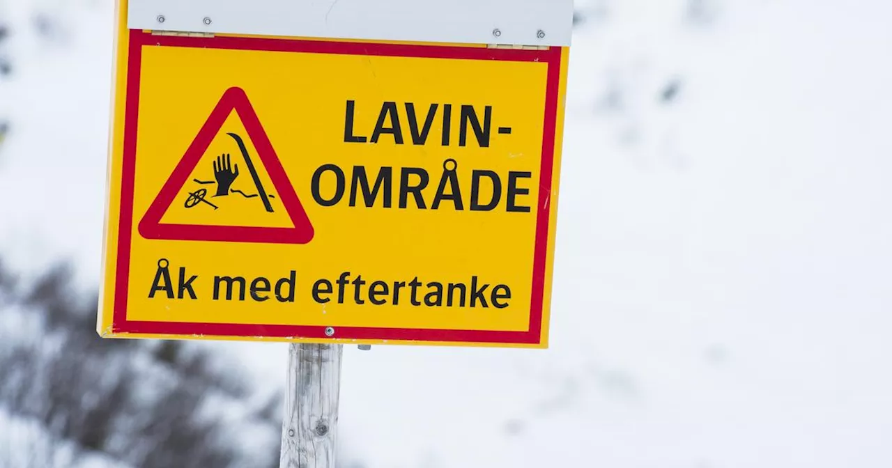 Laviner har gått i Årefjällen – fjällräddare larmade