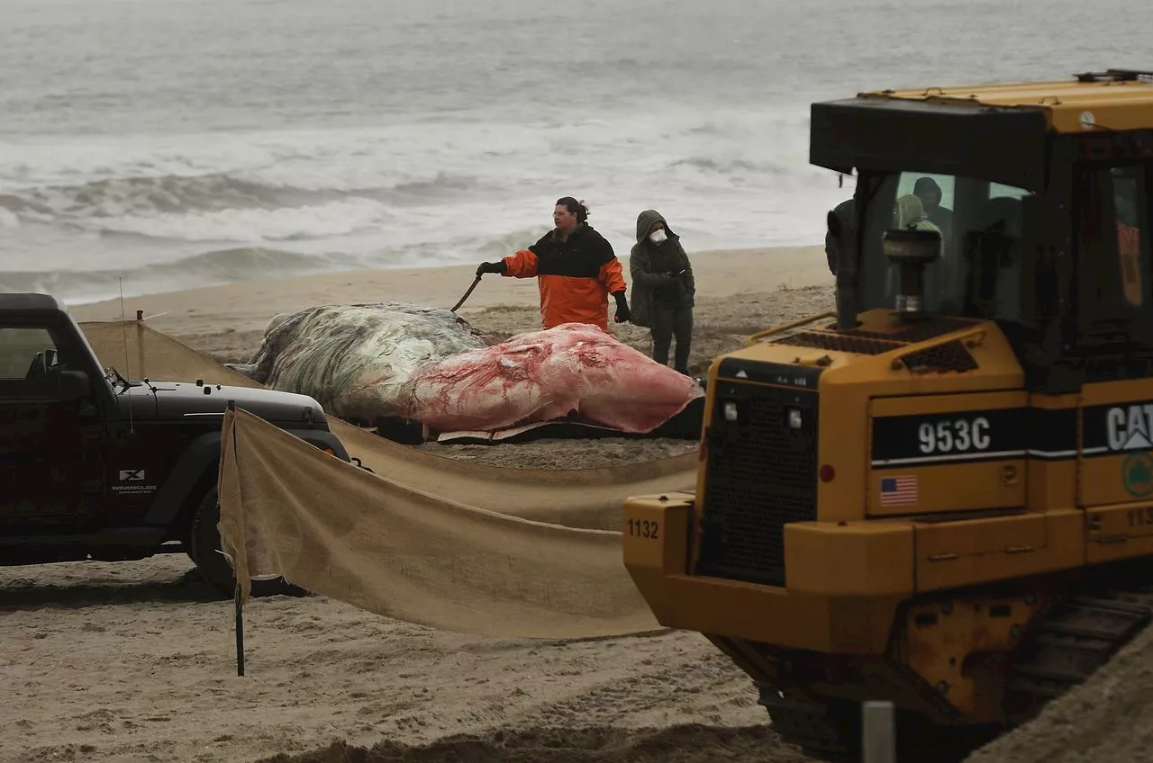 How pro-fossil fuel groups helped sway public against offshore wind in New Jersey