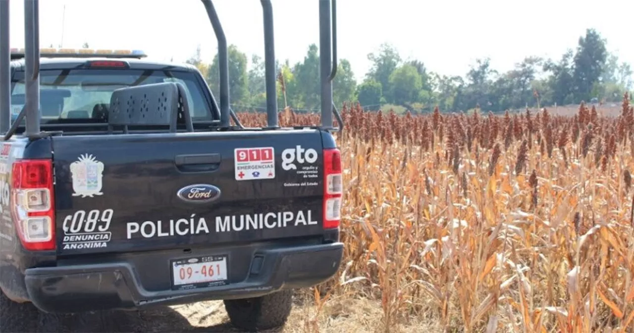 Aumentan víctimas de fosas clandestinas en Irapuato: estas son las colonias donde más se encontraron