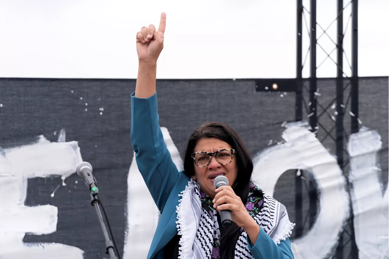 Michigan Democrats bash Tlaib for Palestinian comments