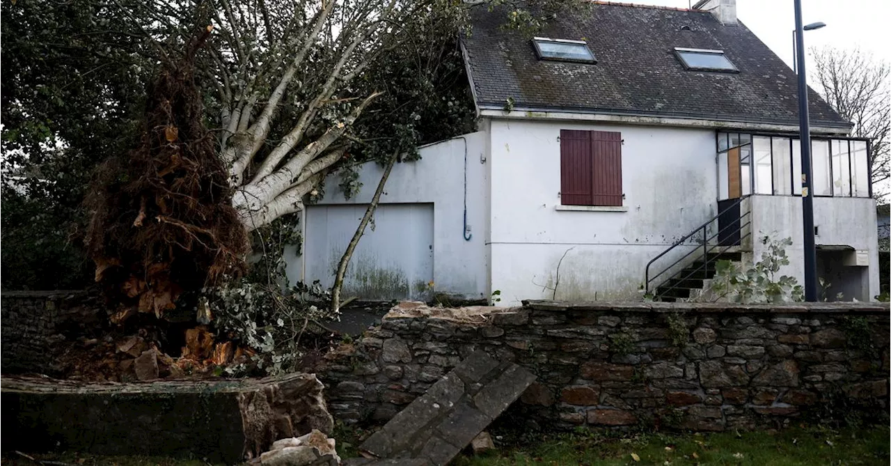 Worker dies while repairing storm Ciaran damage in northwest France