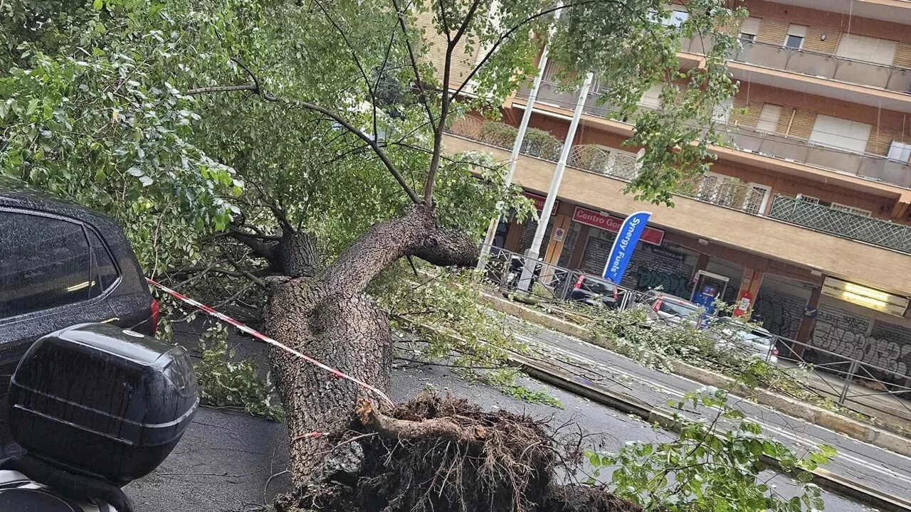 Maltempo, a Roma albero crolla sul tram. Tromba d'aria a Fregene