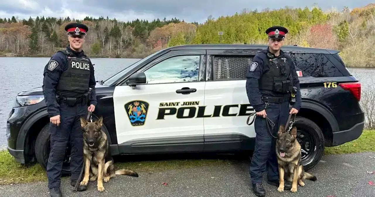 Saint John Police welcomes new K9 officers