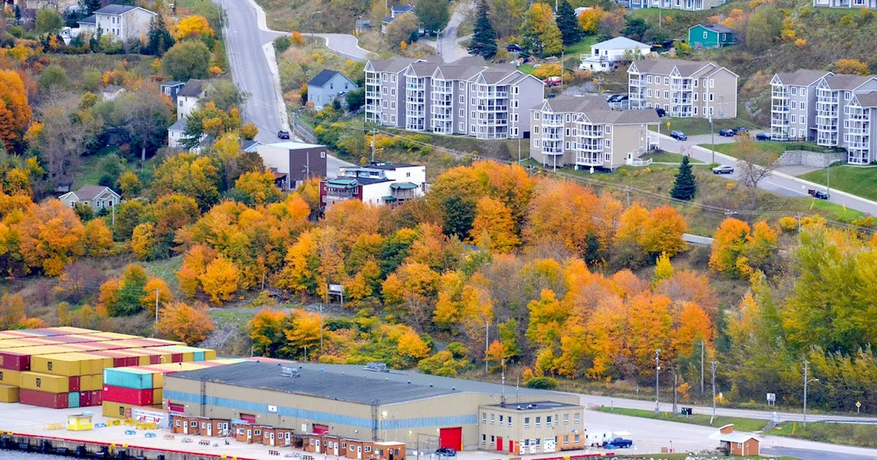 Things to know to help shape your week in Newfoundland and Labrador Nov. 6-12