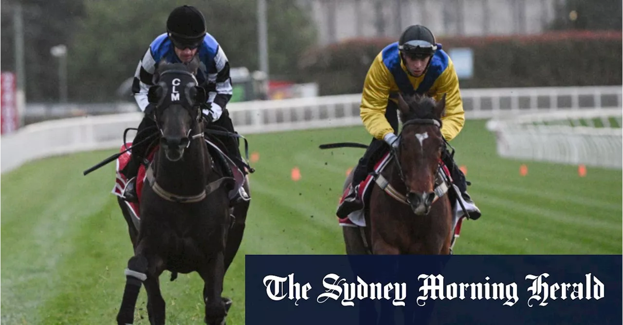 Keeping it in the family: The horse with a shot at Melbourne Cup history