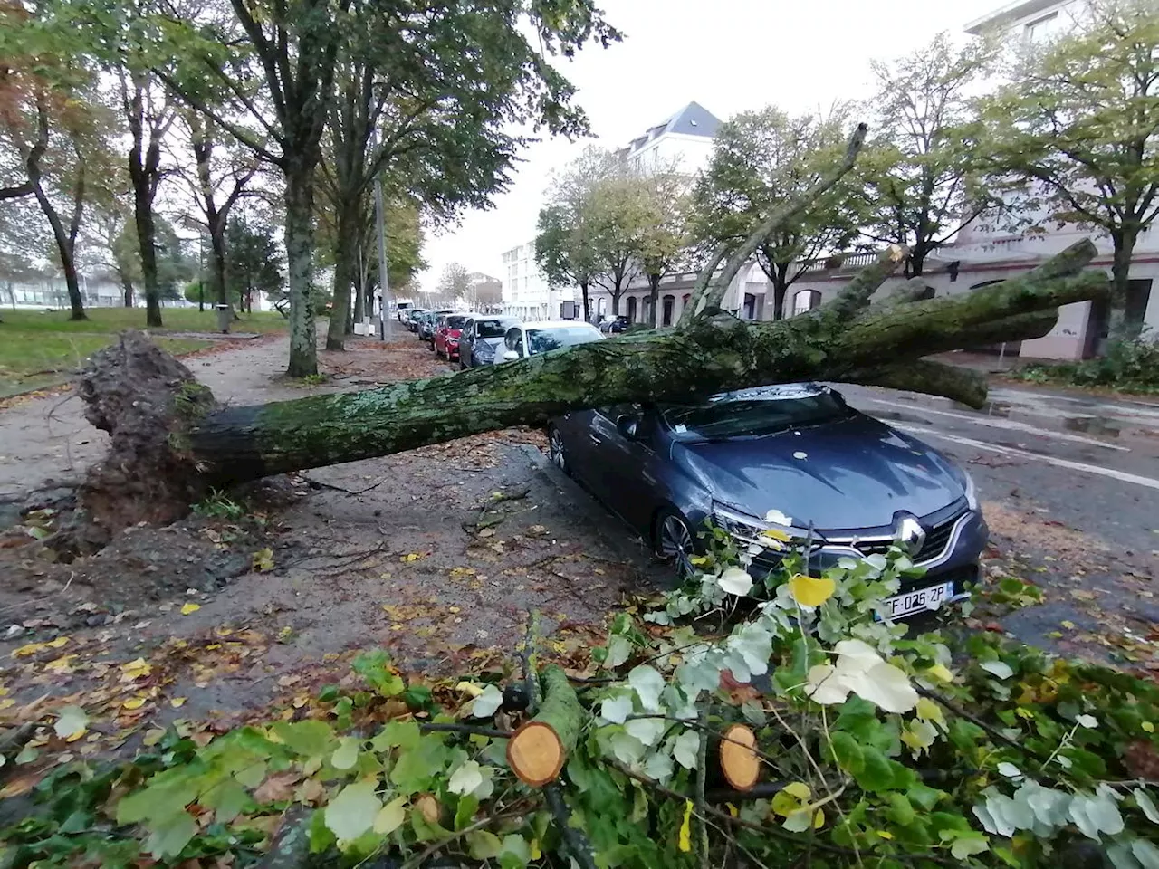 Tempête Domingos en Charente-Maritime : près de 200 interventions des pompiers cette nuit