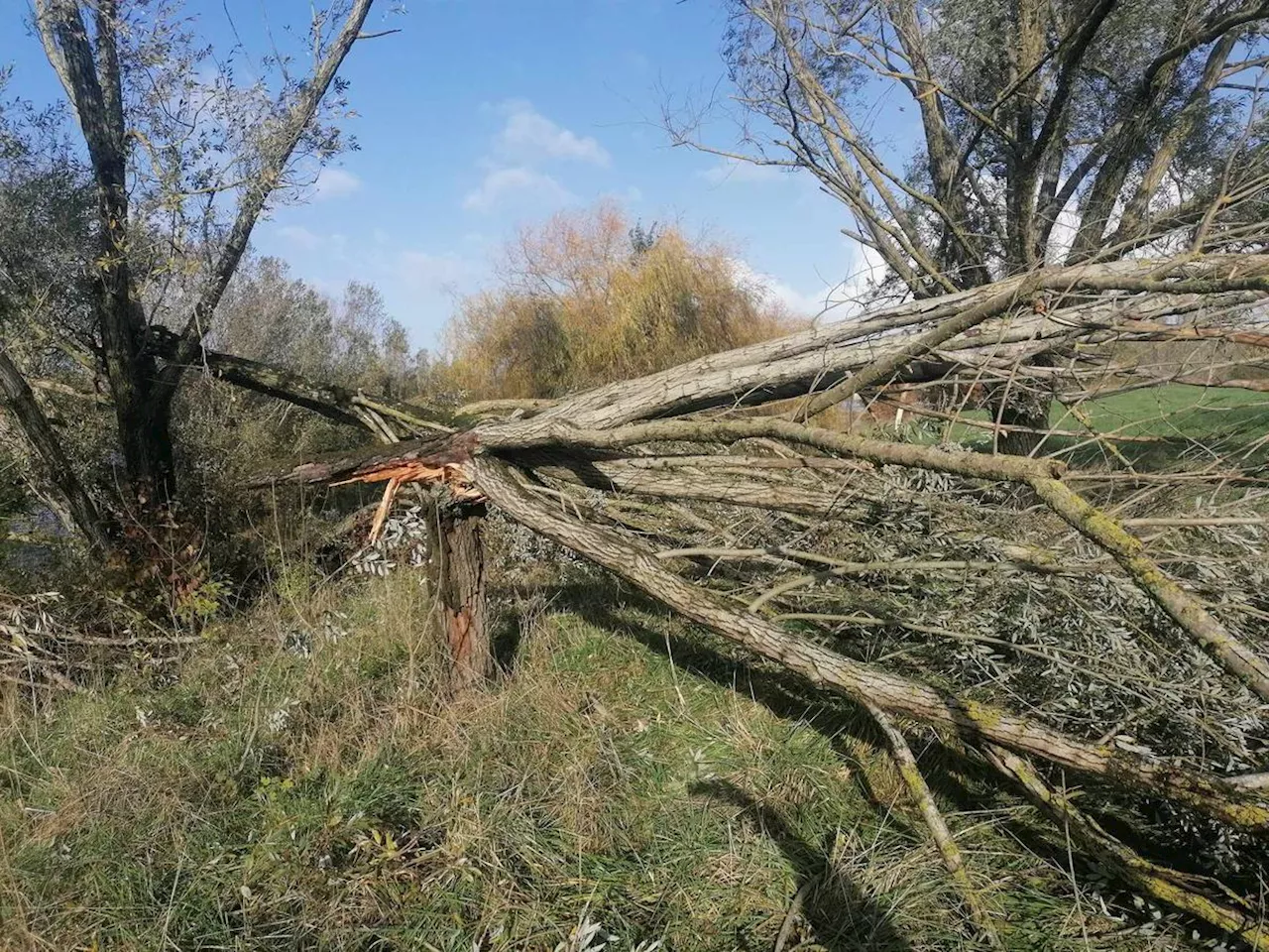 Tempête Domingos en Charente-Maritime : retour en images après son passage à Saintes