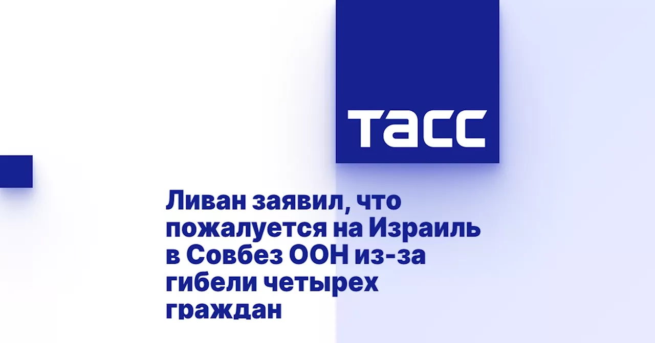 Ливан заявил, что пожалуется на Израиль в Совбез ООН из-за гибели четырех граждан