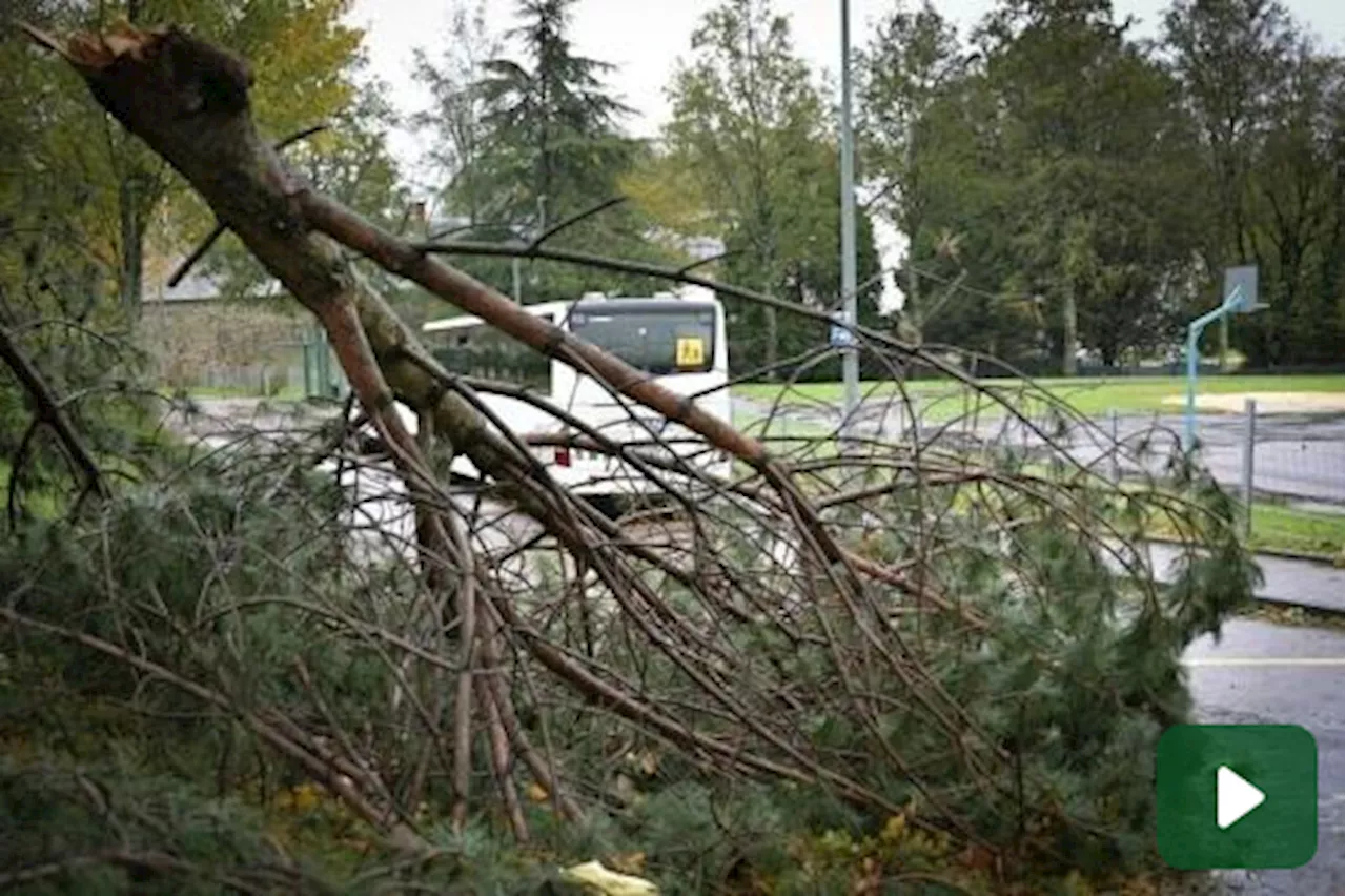 Maltempo: dopo la tempesta Ciaran arriva Domingos, ecco dove passerà