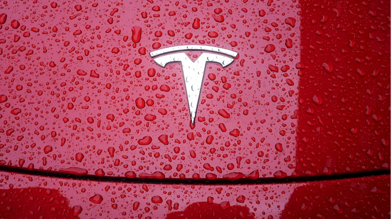 Tesla?s slowing growth puts 'Big Seven' status under a spotlight