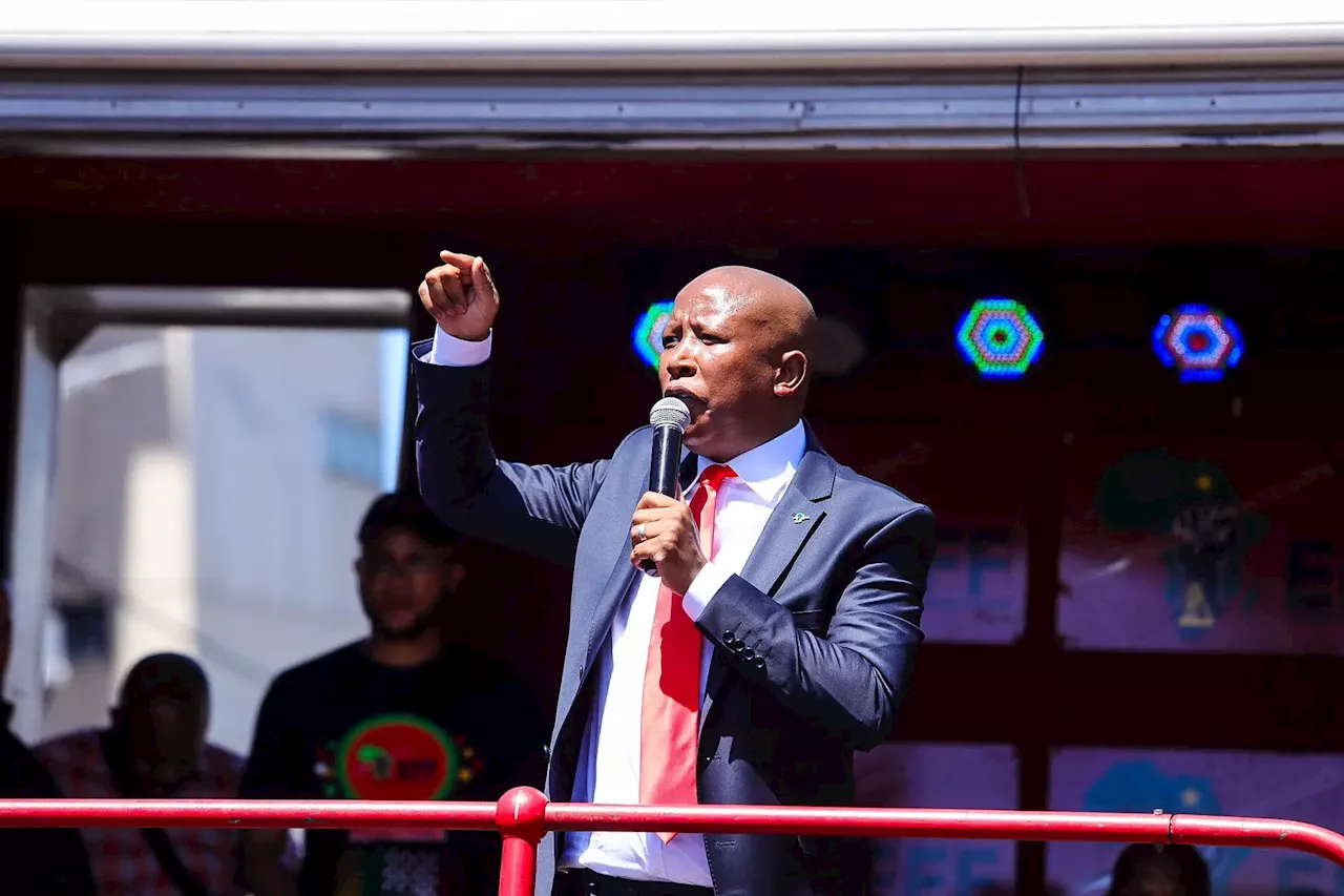 [WATCH] Julius Malema: ‘Die Bokke, Springboks is an apartheid symbol, Springbok must fall’