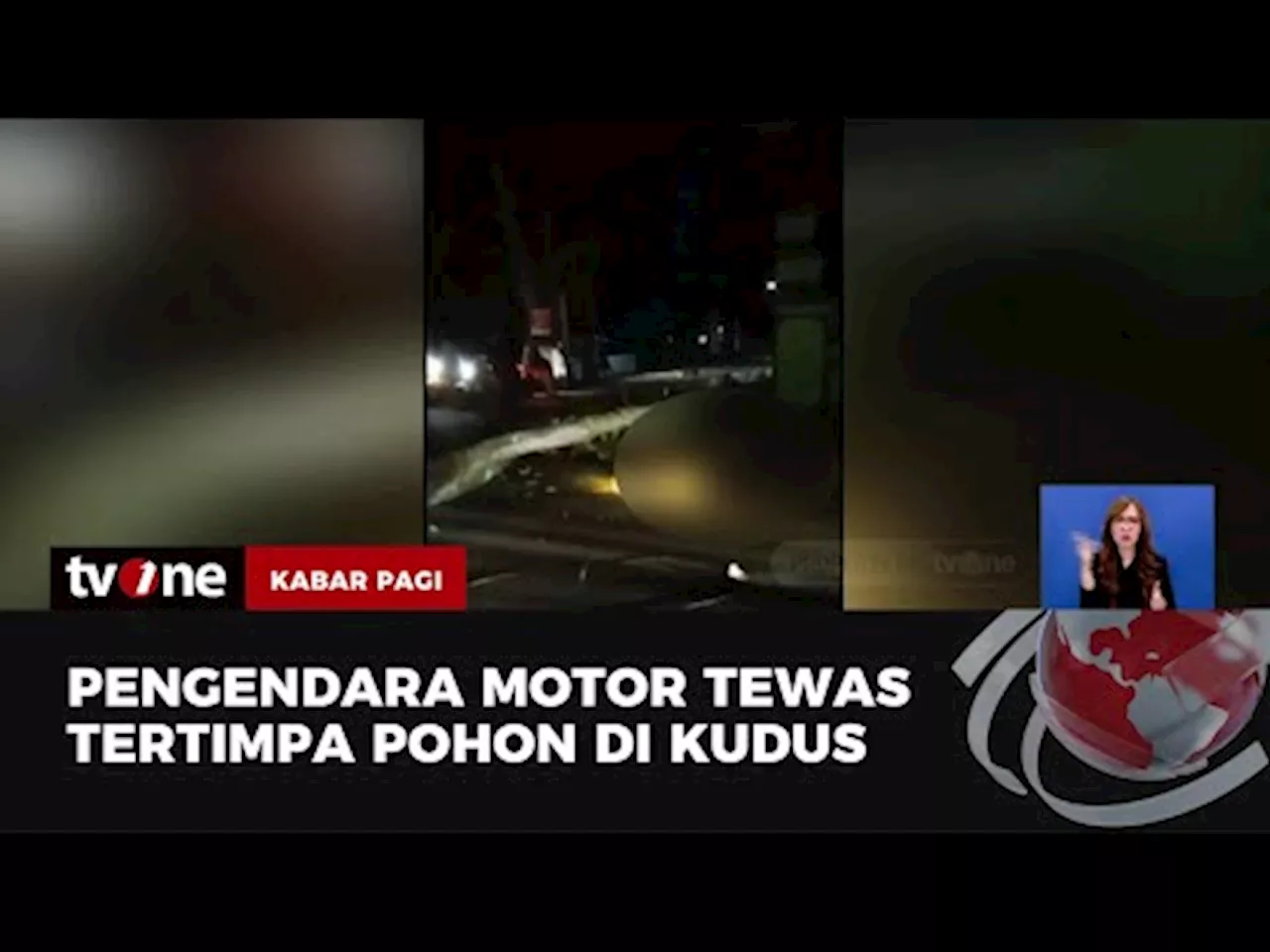 Pohon di Kudus Tumbang ke Tengah Jalan, Pengendara Motor Tewas