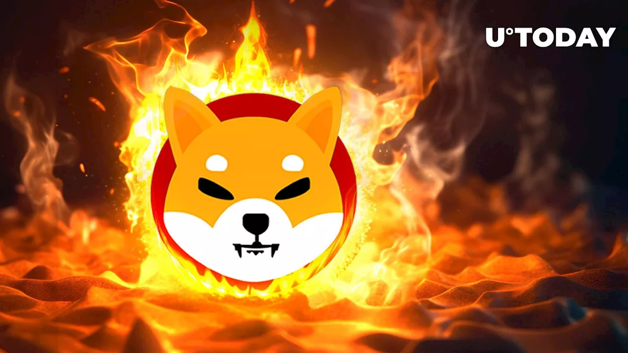 Shiba Inu Burn Rate Jumps 535% With Quarter Billion SHIB Burned