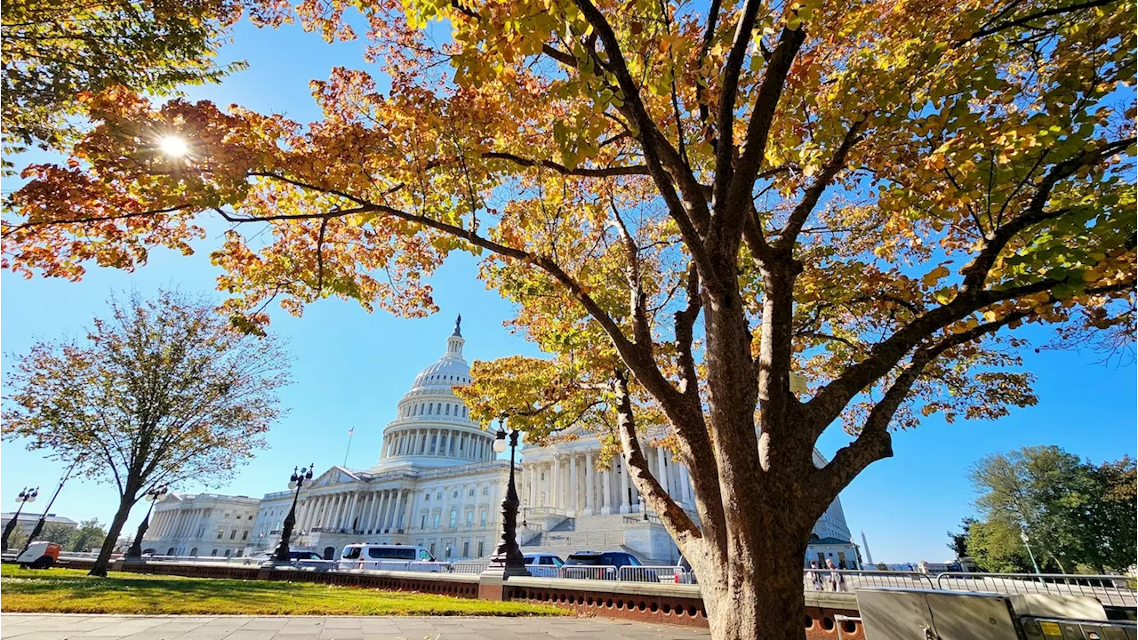 D.C.-area forecast: A sunny and mild Sunday afternoon as dry spell continues