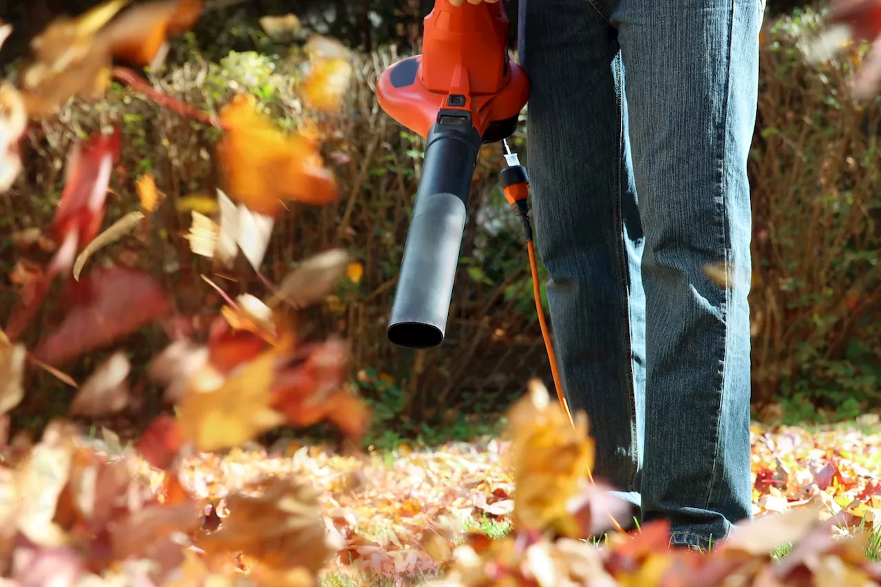 Why you should ditch your gas-powered leaf blower this fall