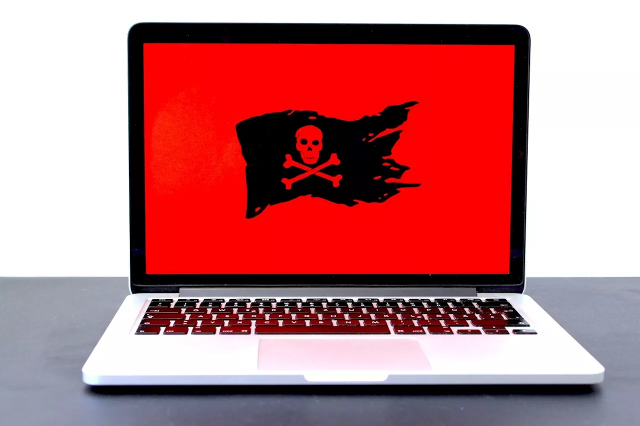 Certains sites pirates ont reçu plus de visites après leur blocage