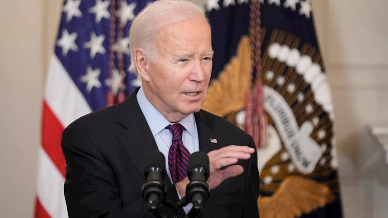 Majority of swing state voters say Biden is 'just too old' to be president: poll