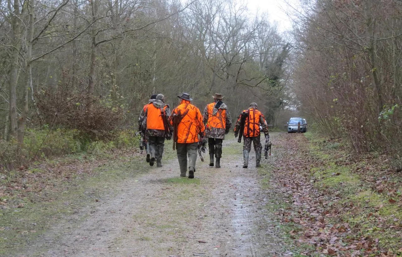 Béziers : Un chasseur de 80 ans tué par un sanglier