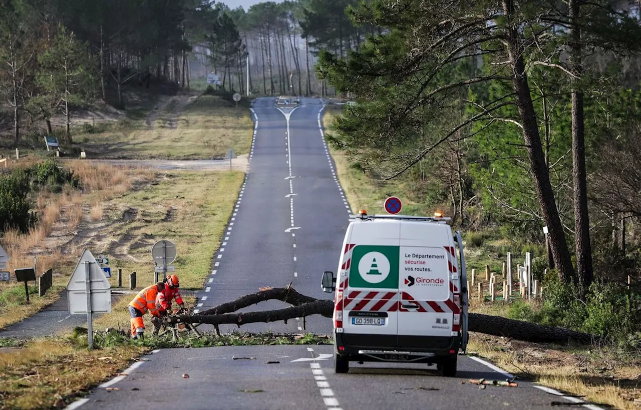 Tempêtes Ciaran et Domingos : Le réseau mobile sera rétabli « dans les prochains jours », avance le ministre