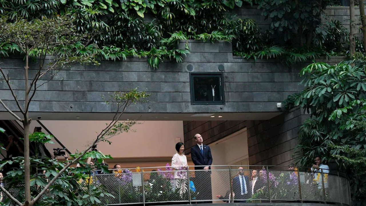 Prince William arrives in Singapore for the Earthshot Prize award