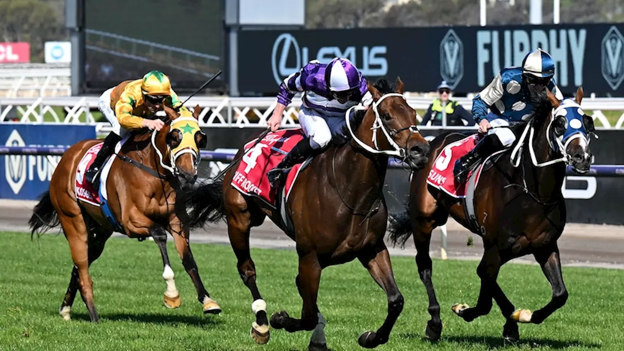 Do racehorses even know they're 'racing' each other? It’s unlikely