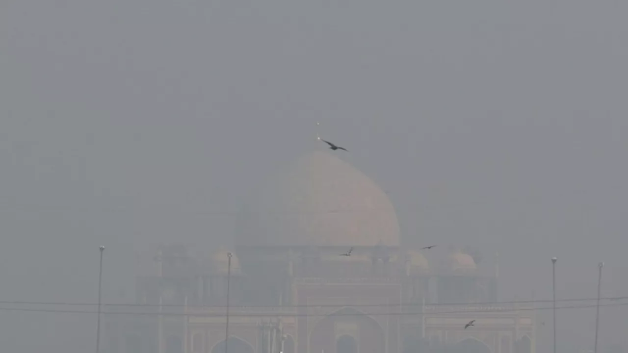 New Delhi to restrict use of vehicles to curb air pollution