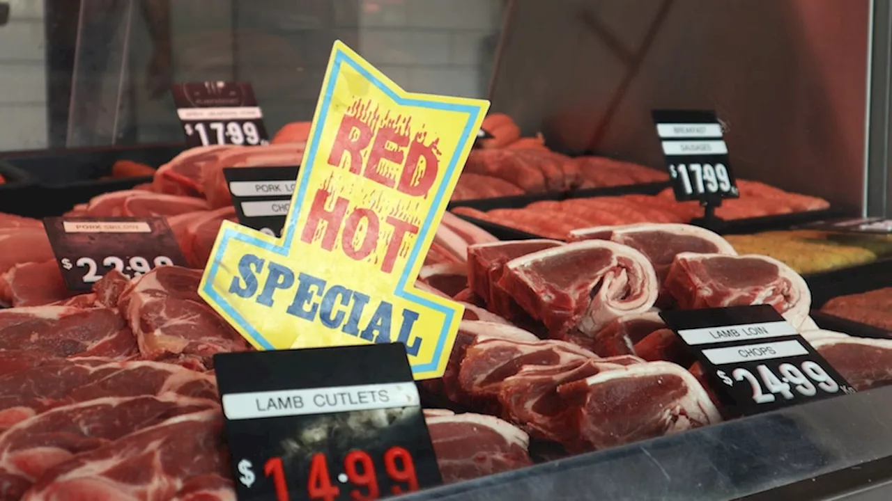 Woolworths to cut lamb prices but frustration remains for farmers and processors