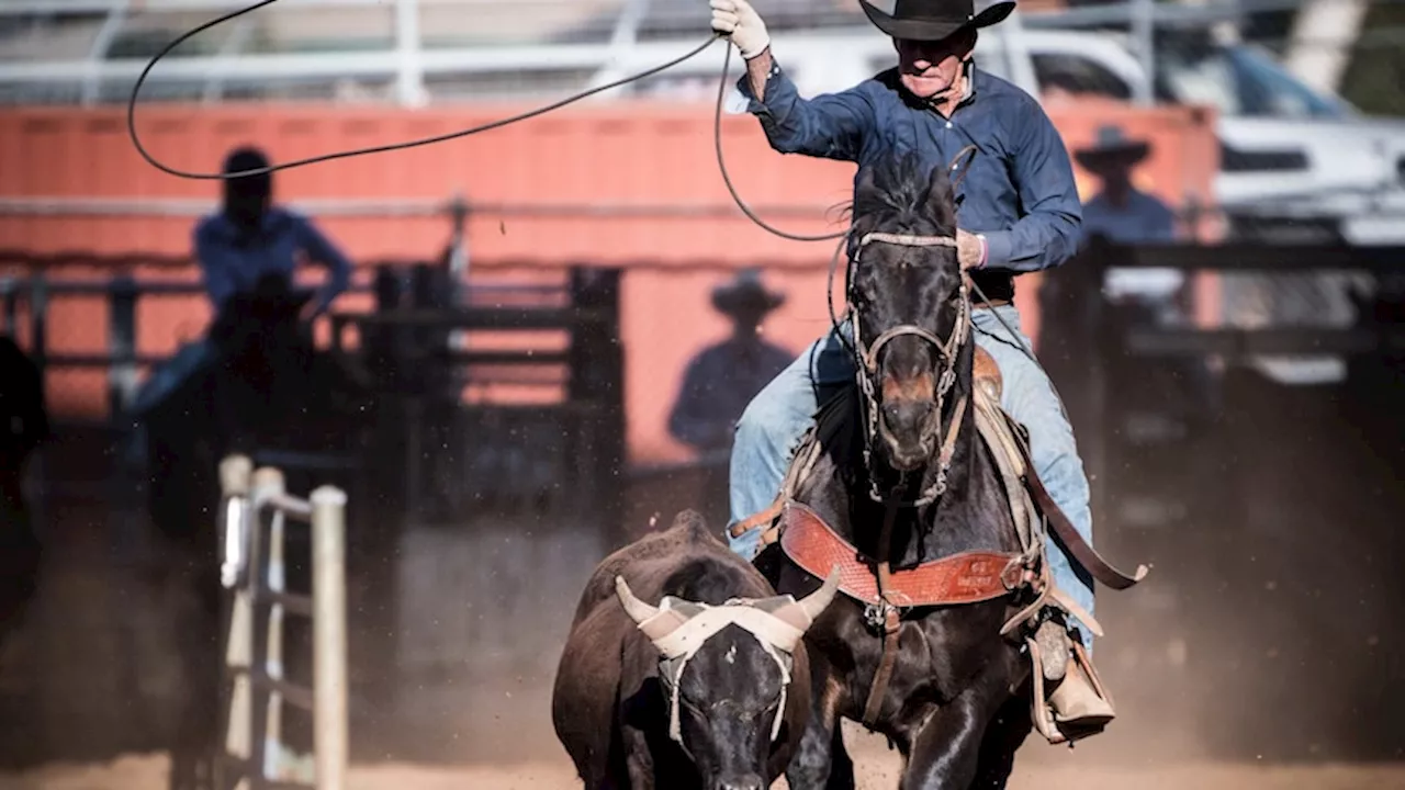 'World's oldest cowboy' Bob Holder still in the saddle at the age of 92