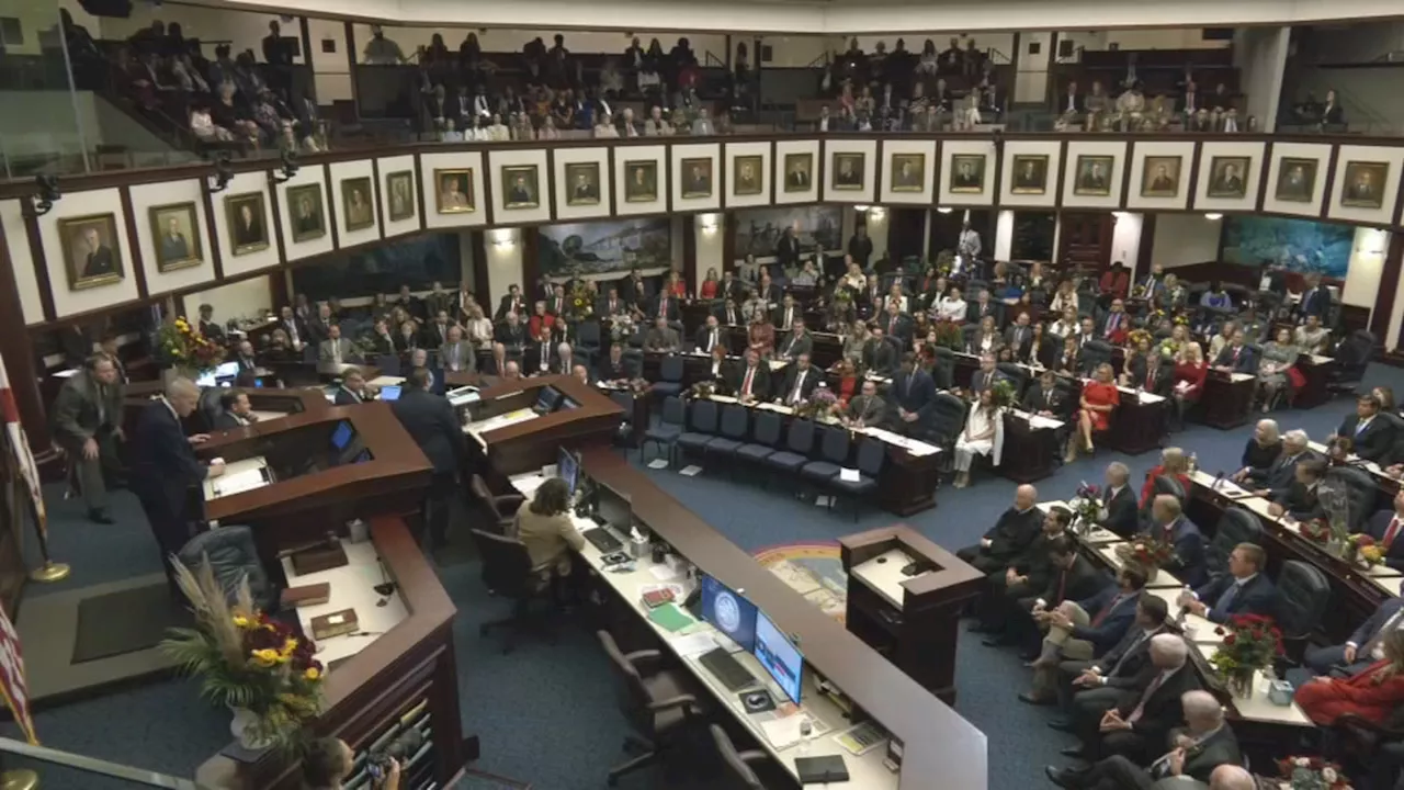 Israel support and combating domestic antisemitism on the agenda in Florida special session