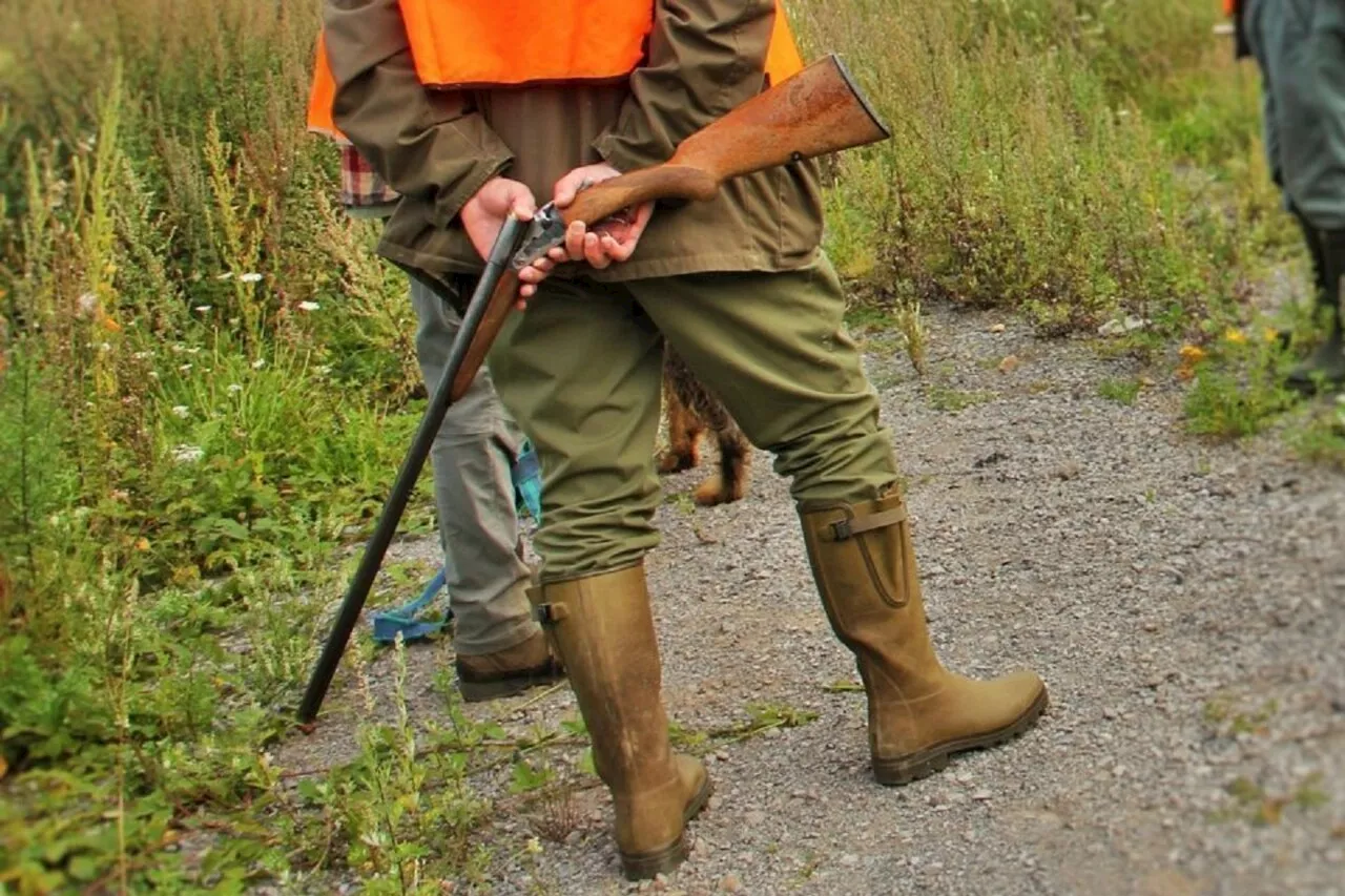 Blessé par balle dans les Pyrénées, un chasseur héliporté en urgence à Toulouse