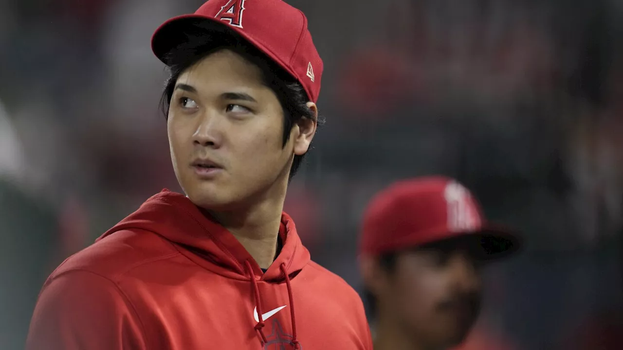 Shohei Ohtani, Cody Bellinger among 7 to get qualifying offers as 168 free agents hit the market