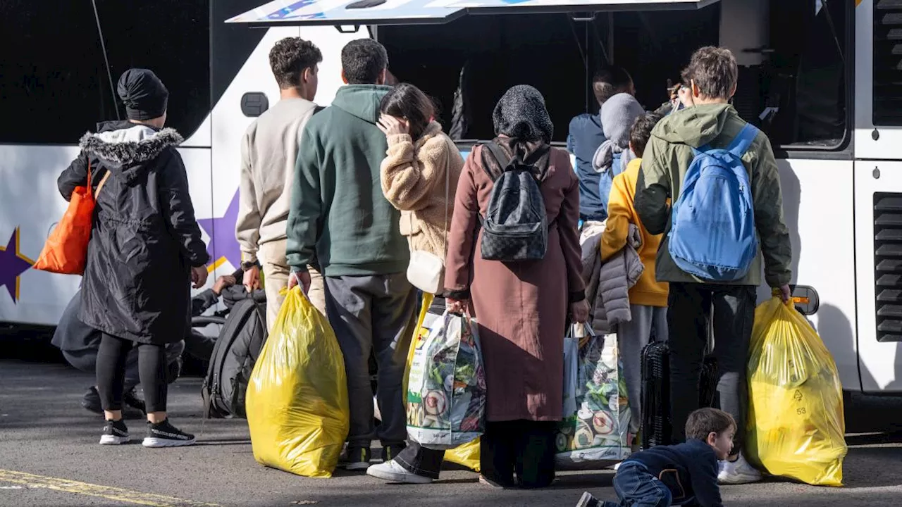 Temporäre Große Koalition? Dann doch besser Neuwahlen!