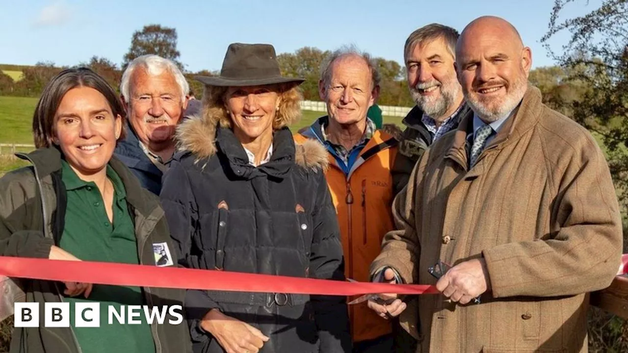 Marlborough Bay Meadow nature reserve opens to public