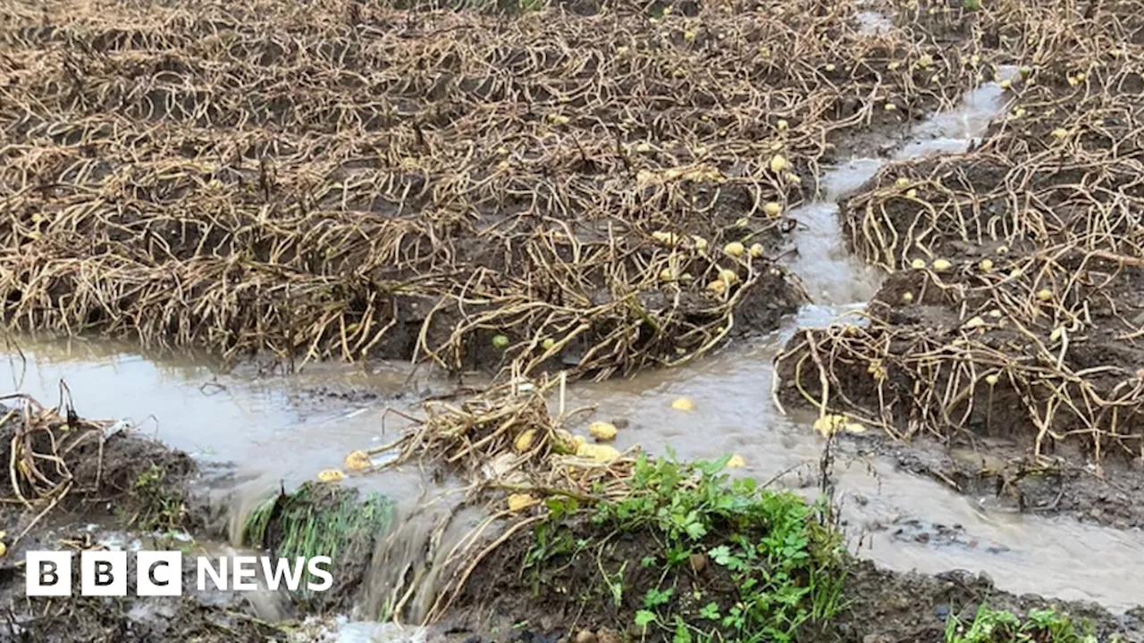 Flooding in Northern Ireland fields 'a major blow' to crops