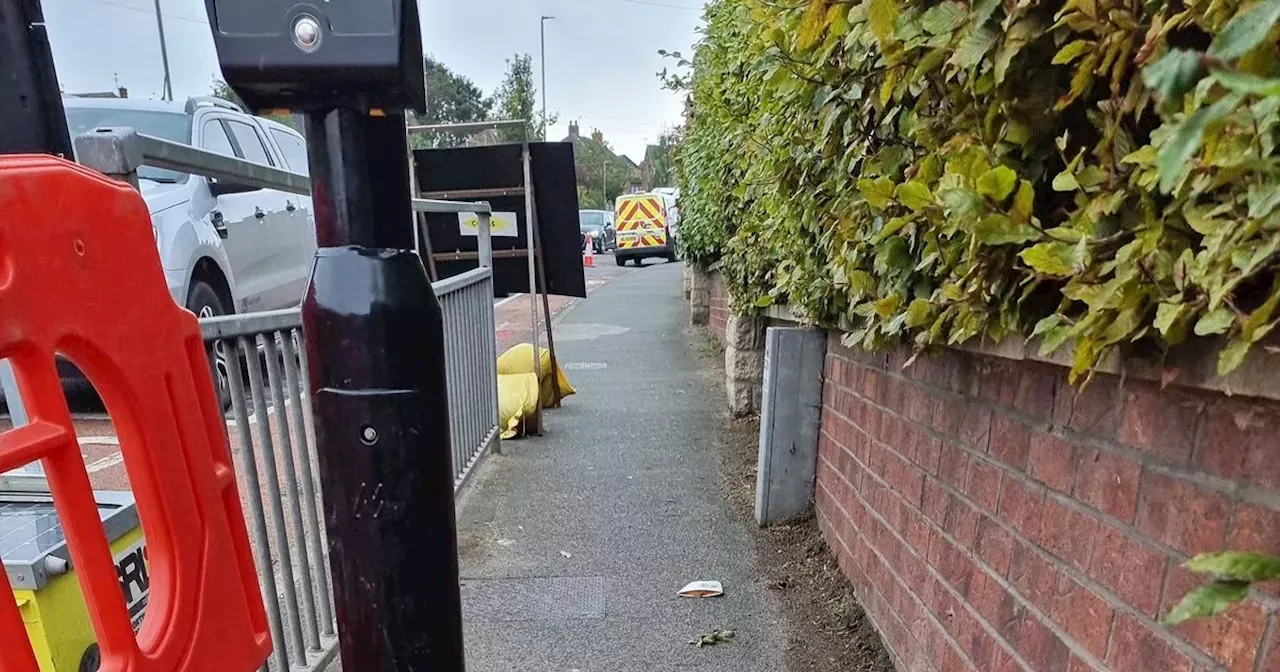 Dog walker hits out at council for installing lamp posts too close