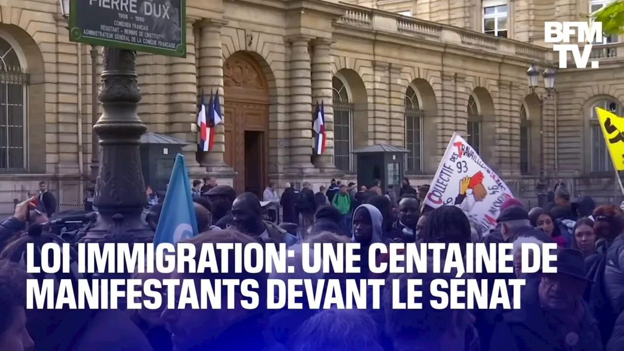 Loi immigration: une centaine de manifestants rassemblés devant le Sénat