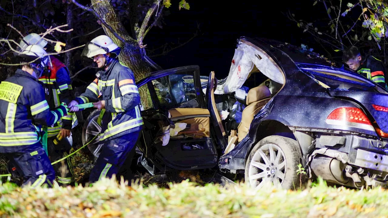 Wiesbaden: An Landstraßen-Baum zerschellt: 29-Jähriger stirb in Luxus-BMW